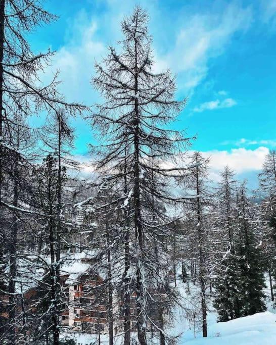 Studio au pied des pistes avec terrasse - Appartamento con 1 Camera da Letto - 21