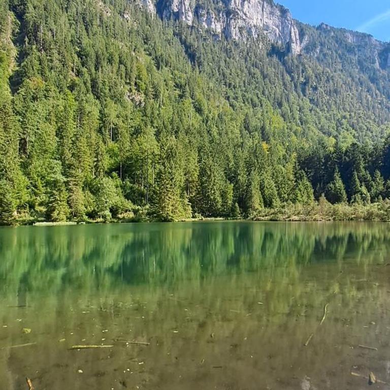 Lärche 2 - Chiemgaukarte inklusive- - Apartment mit 1 Schlafzimmer - 7