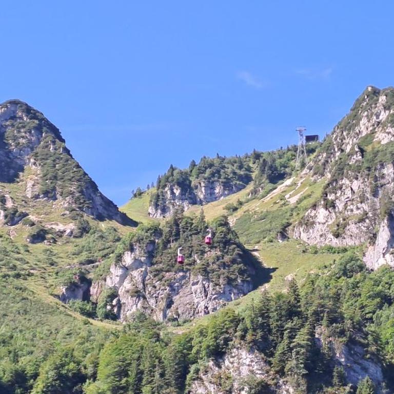 Lärche 2 - Chiemgaukarte inklusive- - Apartment mit 1 Schlafzimmer - 20