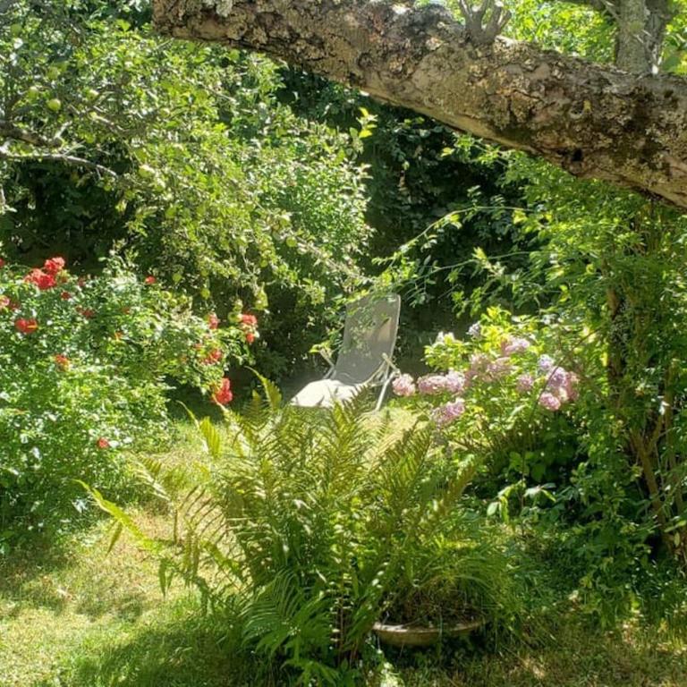 Charmant T2 dans chalet familial - Appartement 1 Chambre - 19