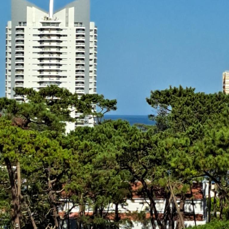 Monoambiente de lujo en Place Lafayette - Ganadores del premio Award 2025 - One-Bedroom Apartment - 68