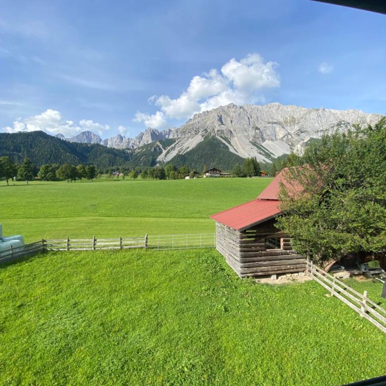 Bauernhof Helpferer - Apartment mit 1 Schlafzimmer - 38