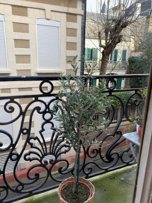 Maison Serpolette - maison entiere - Maison 4 Chambres - 6