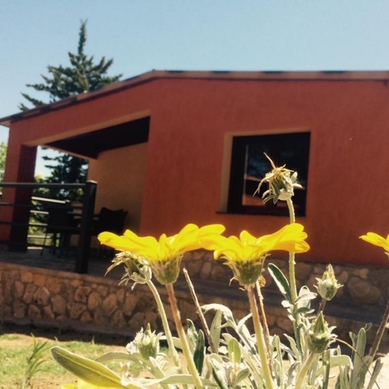 Complejo Turistico El Sur - Apartamento de 2 dormitorios - 5
