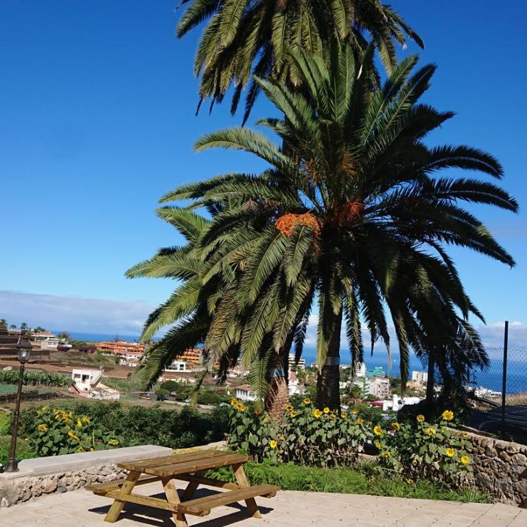 Finca Las Tapias, Casa Mañé - Casa de 2 dormitorios - 23