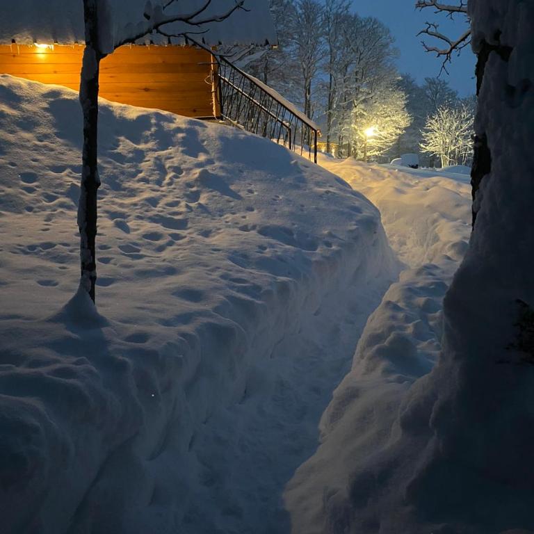 Vila Sun forest - Villa - 67