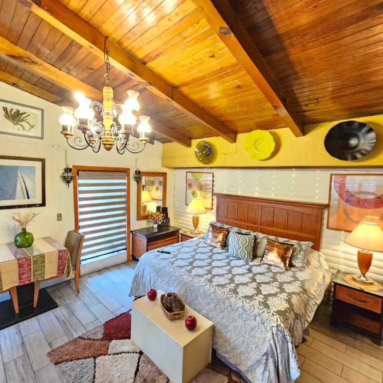 Villas De Los Pinos - Villa Estándar - 13