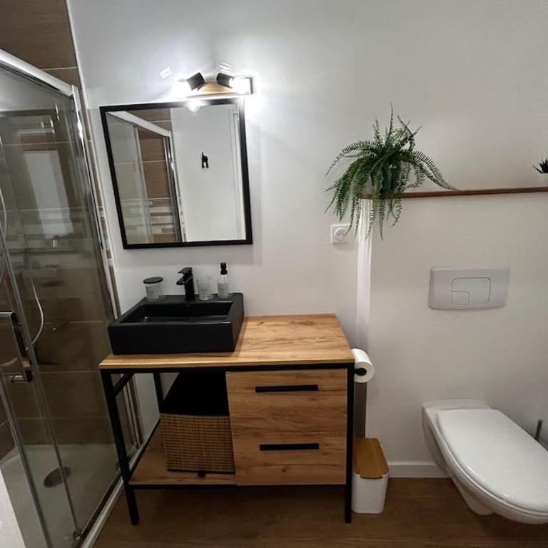 Studio cosy rémois - One-Bedroom Apartment - 12