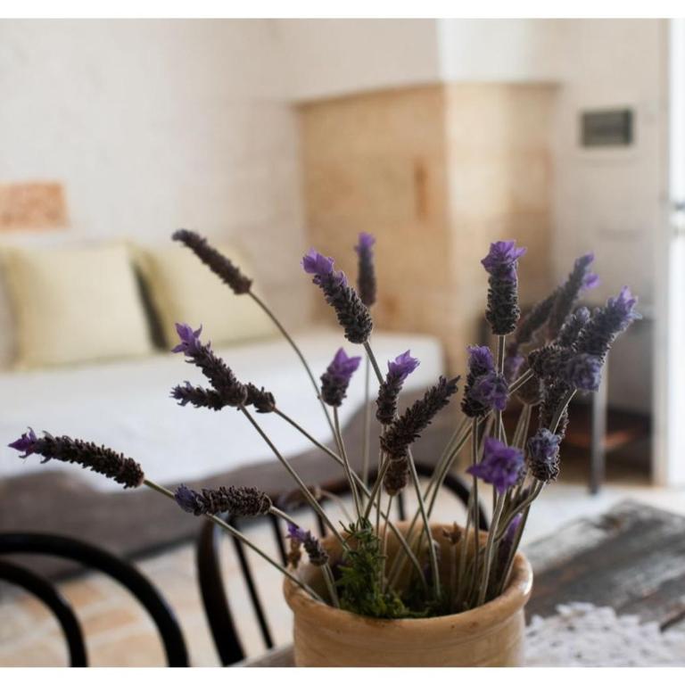 Masseria Verbena Agriturismo - Suite Deluxe con Vasca Idromassaggio - 6