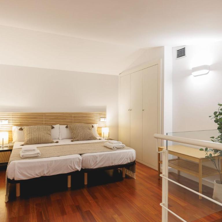 Bravissimo Plaça Catalunya 2-2, Duplex apartment - Apartamento de 1 dormitorio - 3