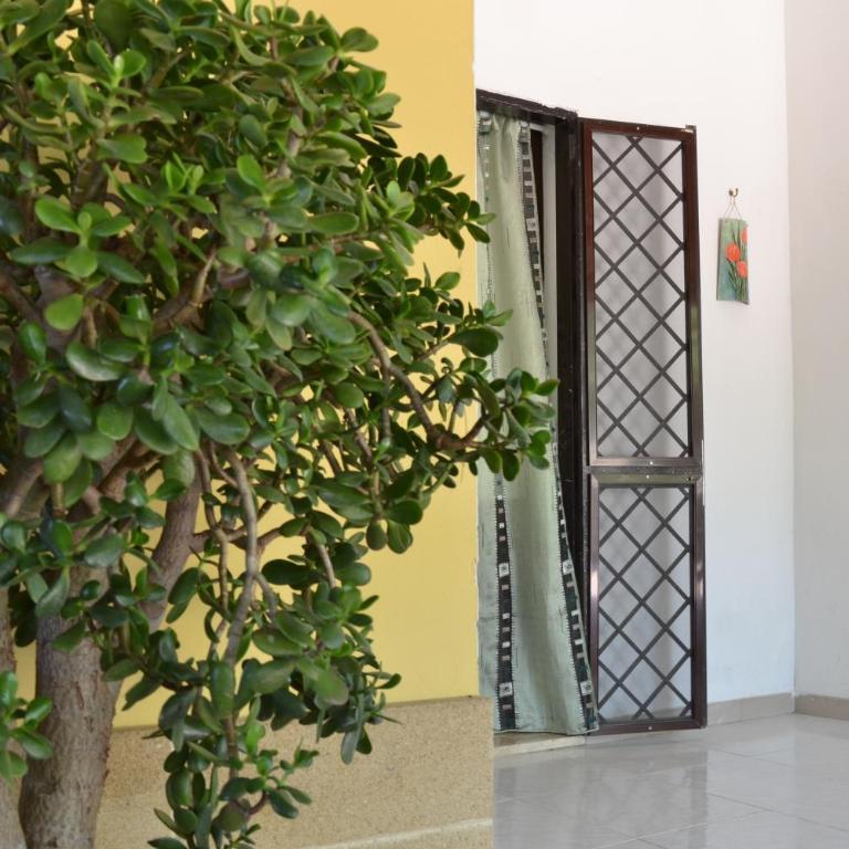 B&B Le 4 Stagioni - Appartamento con 1 Camera da Letto e Vista Giardino - 2
