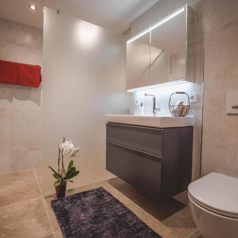 Appartements Bucher - Apartment mit 1 Schlafzimmer und Dusche - 13