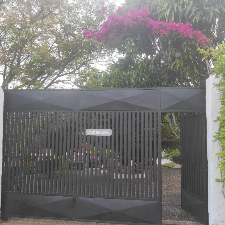 Oasis Natural - Casa - 7