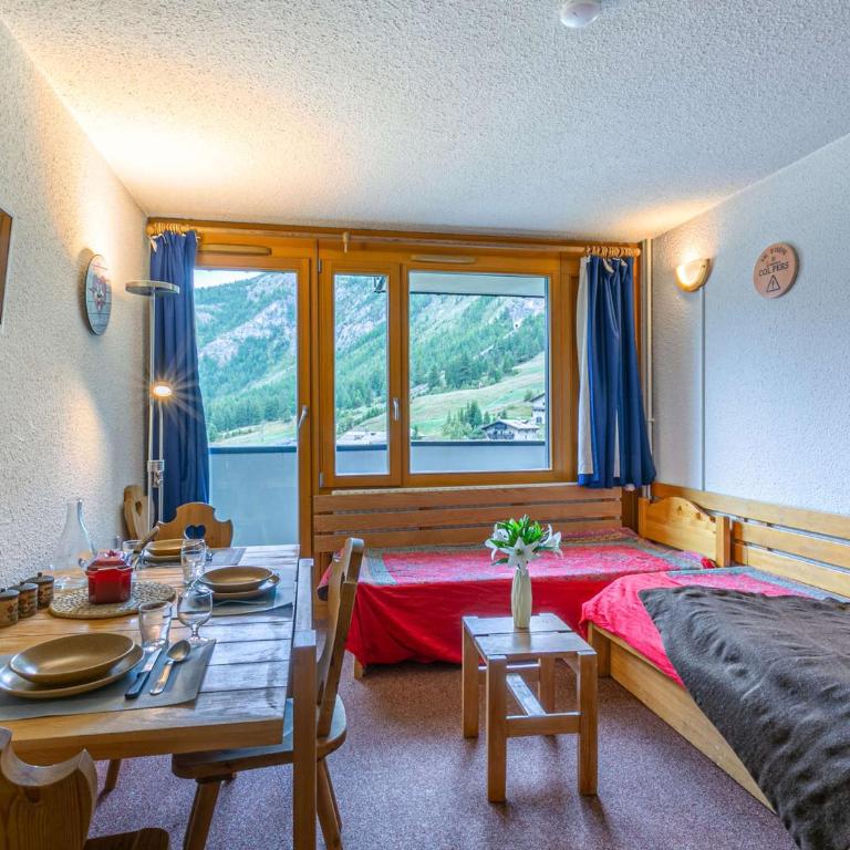 Studio sud au pied des pistes, balcon et animaux acceptés - FR-1-694-209 - Studio - 1