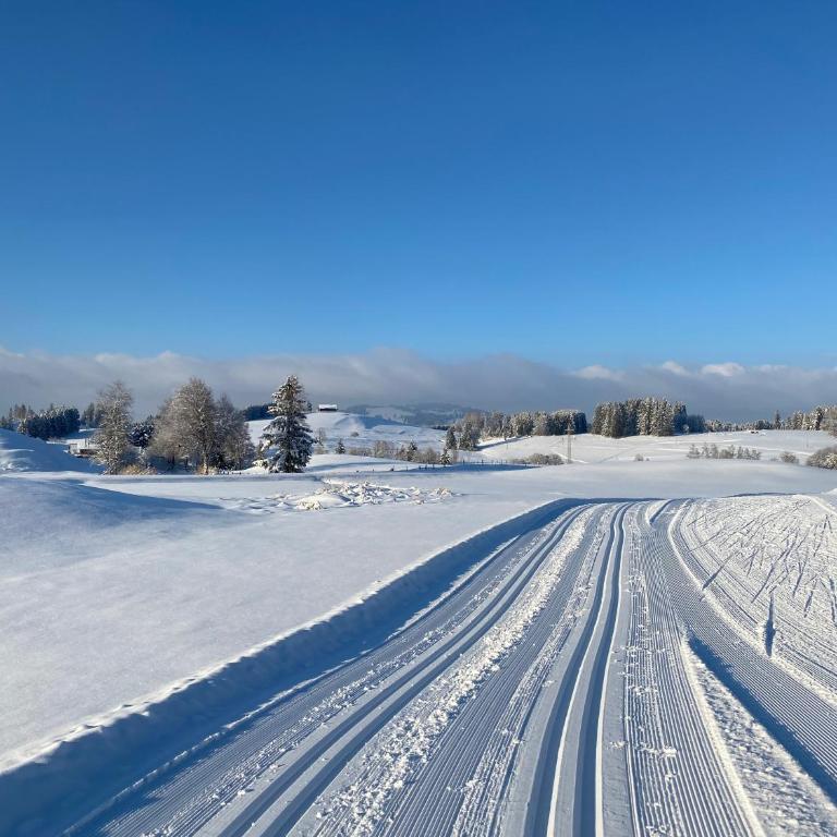 Villa Herzland Allgäu mit großem Garten und gemütlichem Kaminfeuer inklusive KÖNIGSCARD, Skipass, Bergbahn, Therme inkl - Villa mit 3 Schlafzimmern - 35