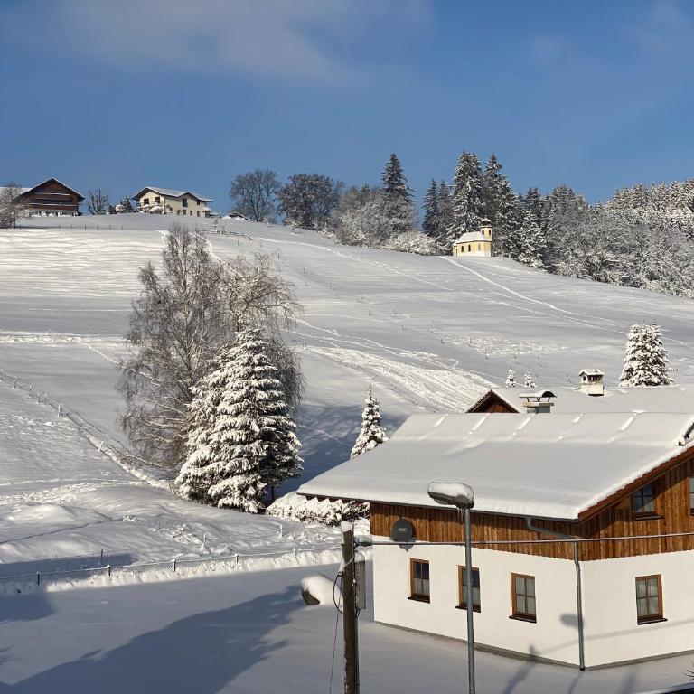 Villa Herzland Allgäu mit großem Garten und gemütlichem Kaminfeuer inklusive KÖNIGSCARD, Skipass, Bergbahn, Therme inkl - Villa mit 3 Schlafzimmern - 33