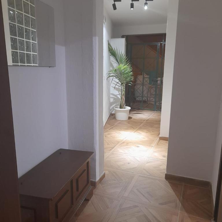 LAPILLI HOUSE TAORMINA - Appartamento con 1 Camera da Letto - 12