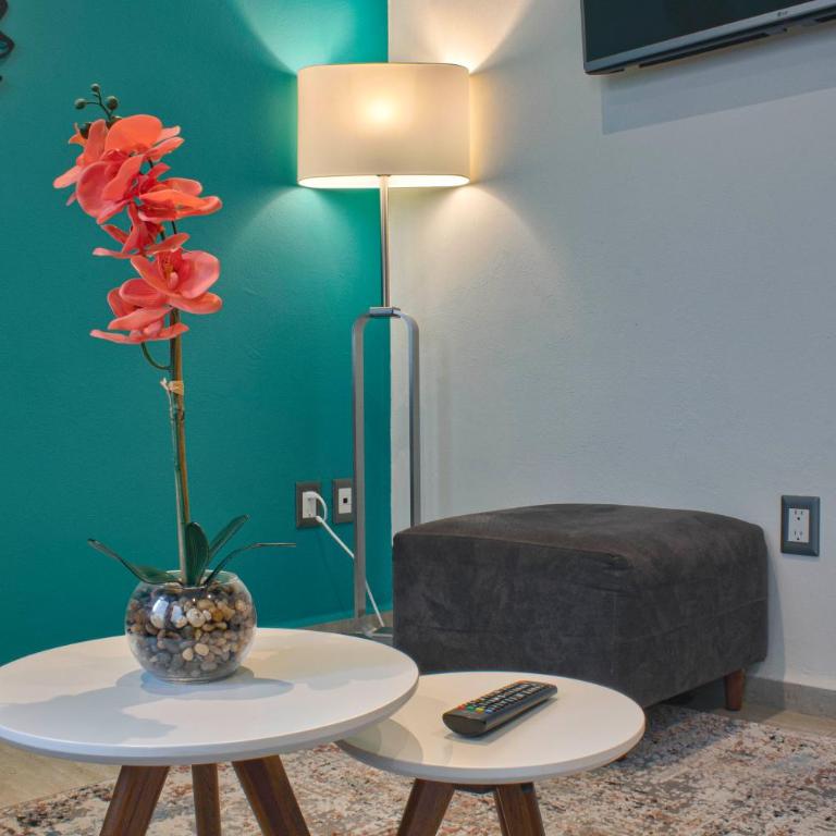 Increíble departamento en Roma Norte - One-Bedroom Apartment - 3