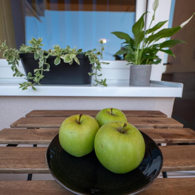 Green Apple Apartment - One-Bedroom Apartment - 25