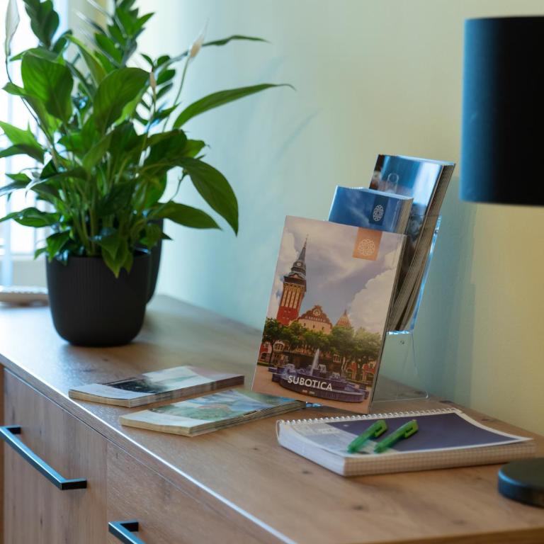 Green Apple Apartment - One-Bedroom Apartment - 31
