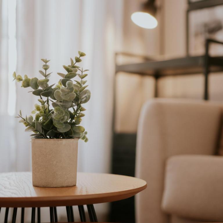 Los biznagales - Apartamento de 1 dormitorio - 28