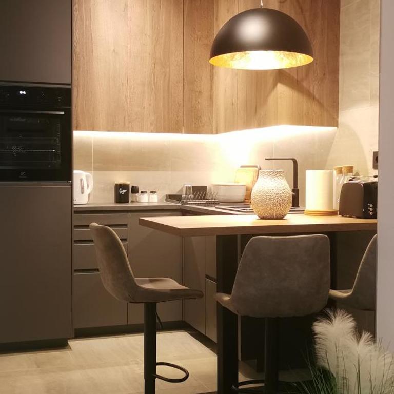 SREBRNI VRHOVI Penthouse - Apartman sa 1 Spavaćom Sobom - 8