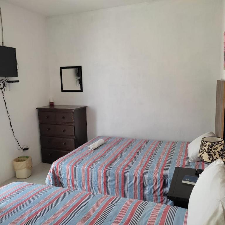HOSPEDAJE MAGNOLIAS MERIDA - Budget Twin Room - 3