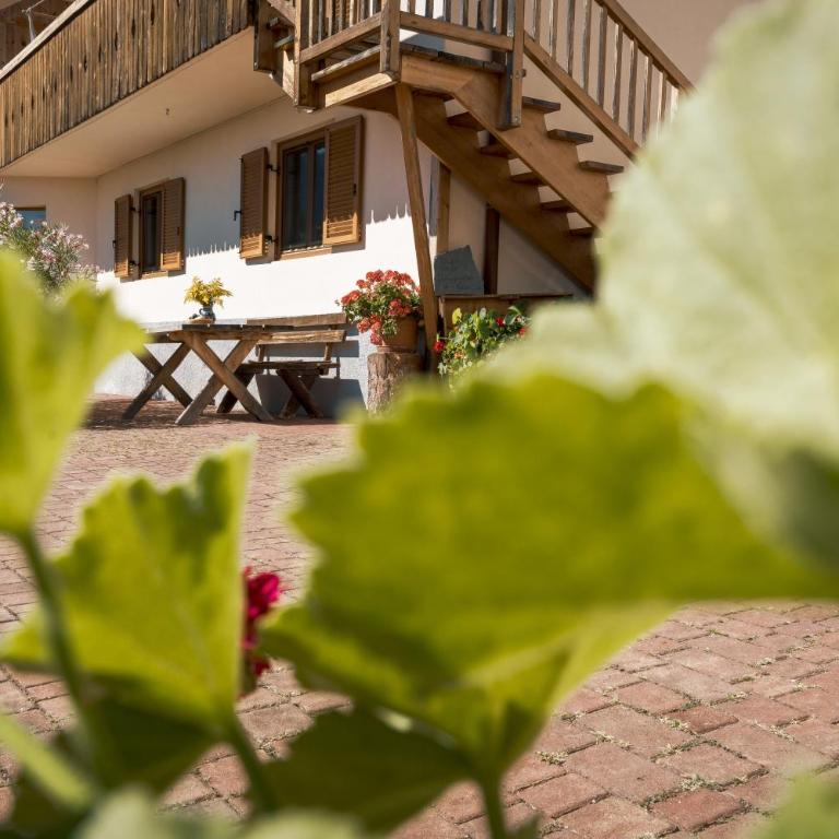 Haflingerhof - Apartment mit Terrasse - 6