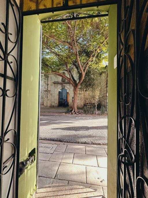 Casa Nabani Oaxaca - Casa de 4 dormitorios - 19