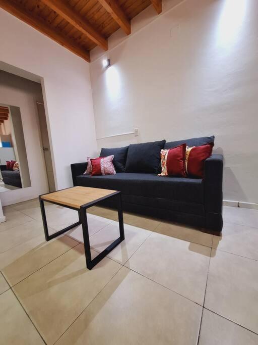 Departamento luminoso - Mendoza - Apartamento de 1 dormitorio - 15