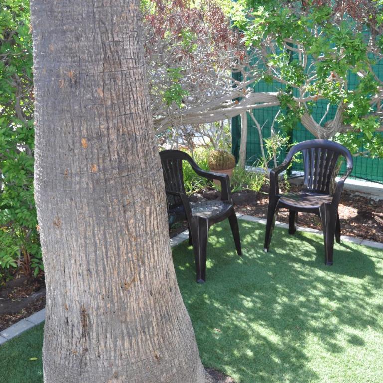 Serenity Garden - Apartamento de 2 dormitorios - 42