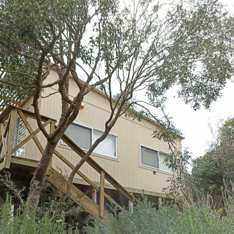 Nio de Baixo - One-Bedroom House - 39