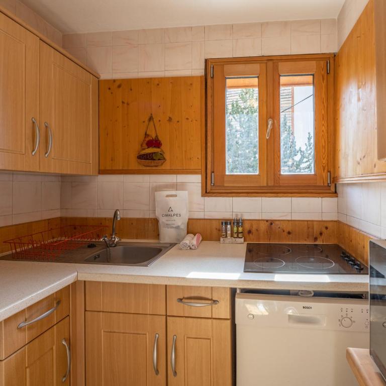 Appartement en centre station, animaux admis, proche pistes de ski - Appartement 1 Chambre - 10