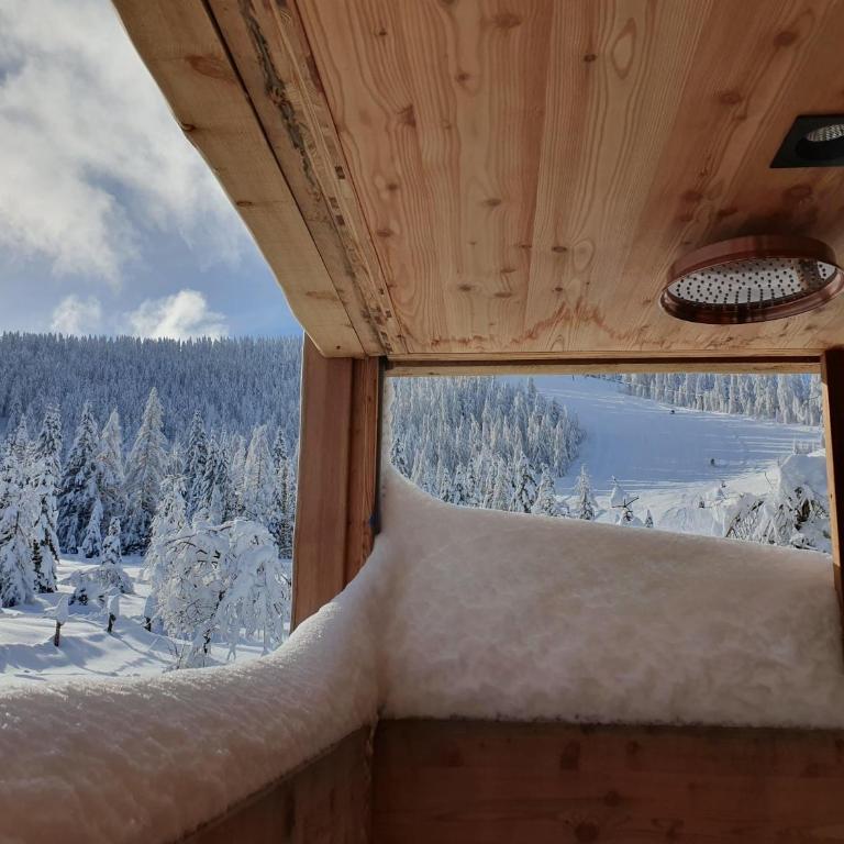 Marktlhütte - Chalet - 45