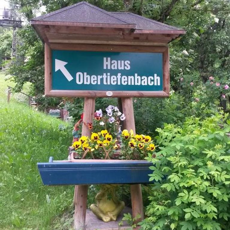 Haus Obertiefenbach - Apartment with Mountain View - 2