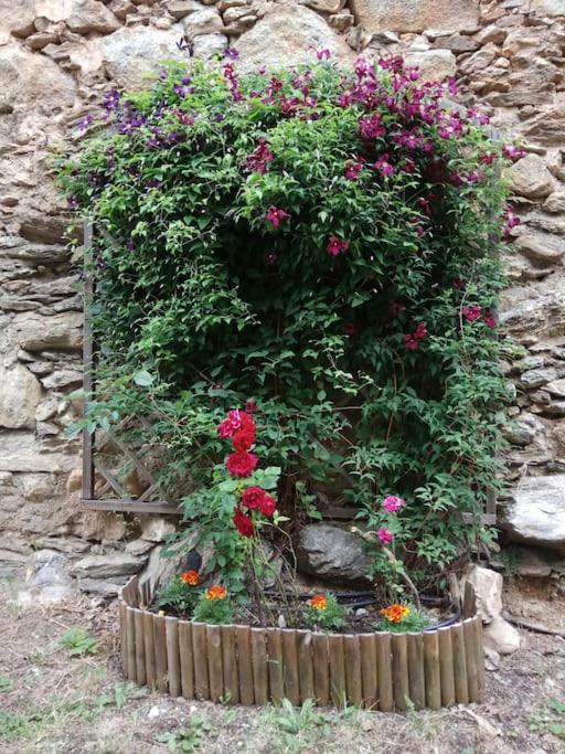 La Borda de Sesué - Casa de 3 dormitorios - 9