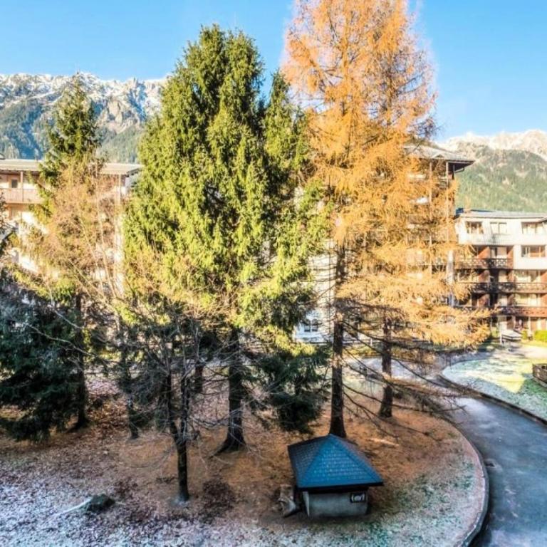 L'Aiguille - maeva Home - 2 Pièces 5 Personnes Confort MAE-2139 - Apartamento - 1