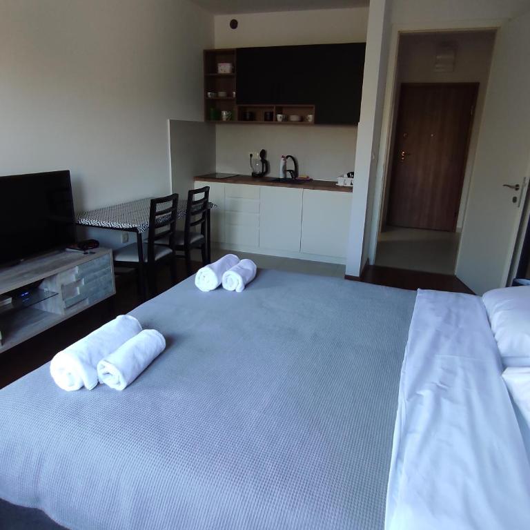 Cozy Studio K with Kitchen & WiFi in Heart of Podgorica - Apartman sa 1 Spavaćom Sobom - 2