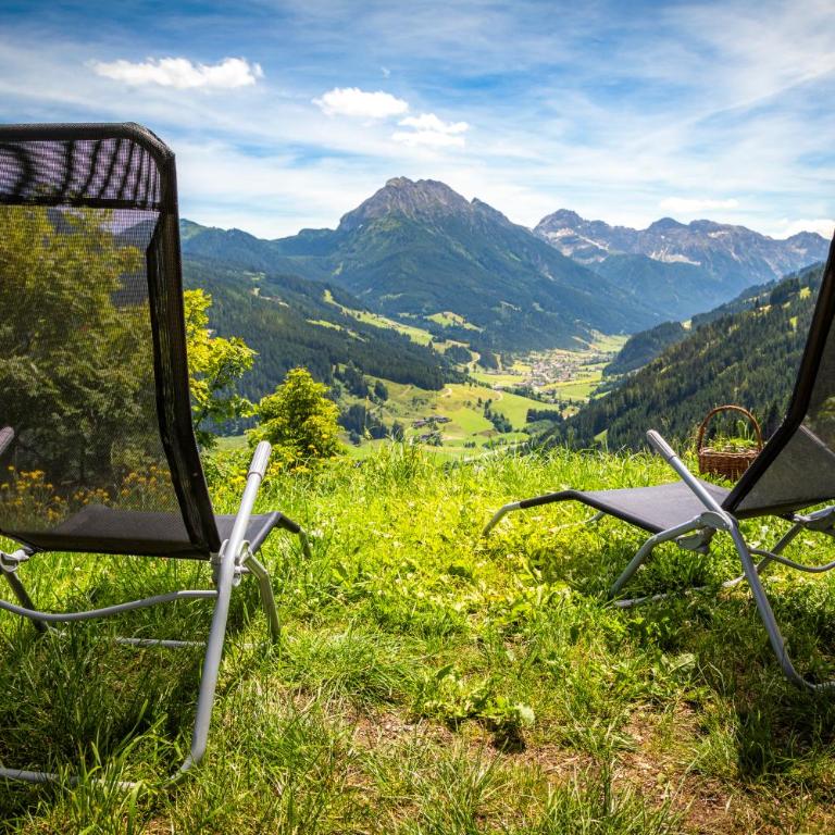 Appartement Bergpanorama Brandegg - Apartment mit Blick auf die Berge - 14