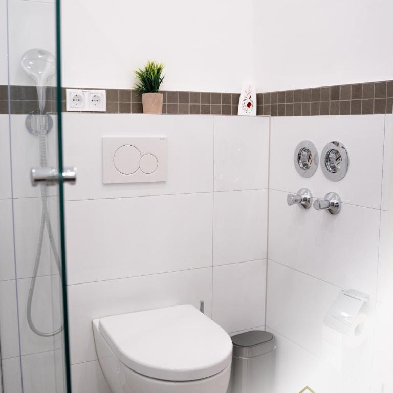 Belrado Apartments - Apartman sa 1 Spavaćom Sobom - 14