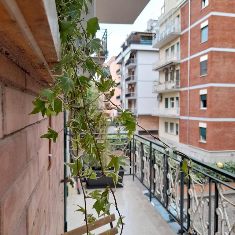 Amber House N.5 - Incantevole accogliente luminosa - Two-Bedroom Apartment - 37