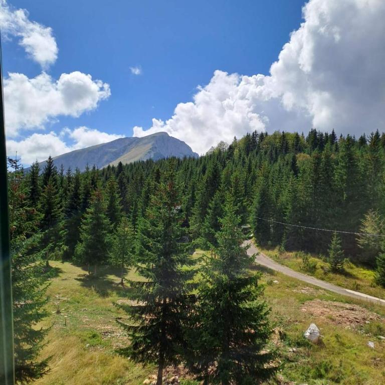 Planinska kuća - Three-Bedroom House - 24