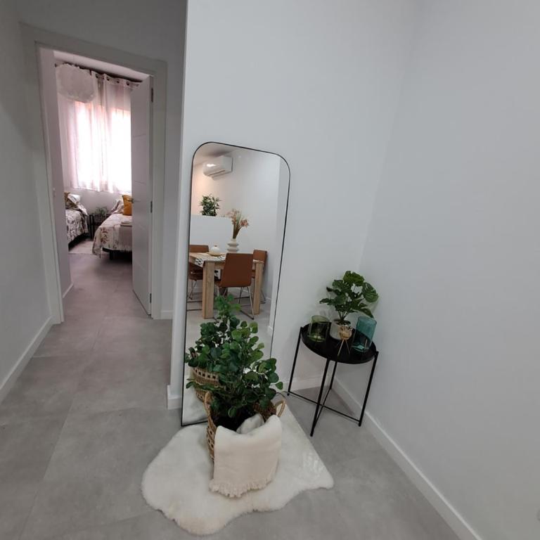 Apartamentos Jara Málaga Centro - Bajo C - Apartamento de 2 dormitorios - 11