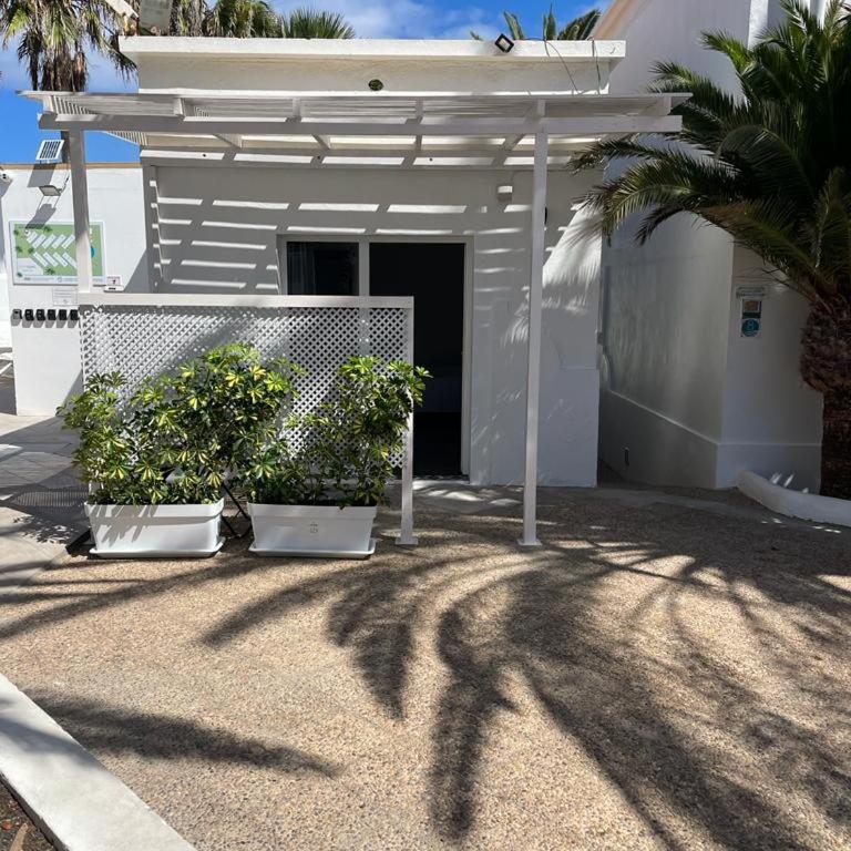 Apartamentos Punta Elena Beach - Estudio - 1