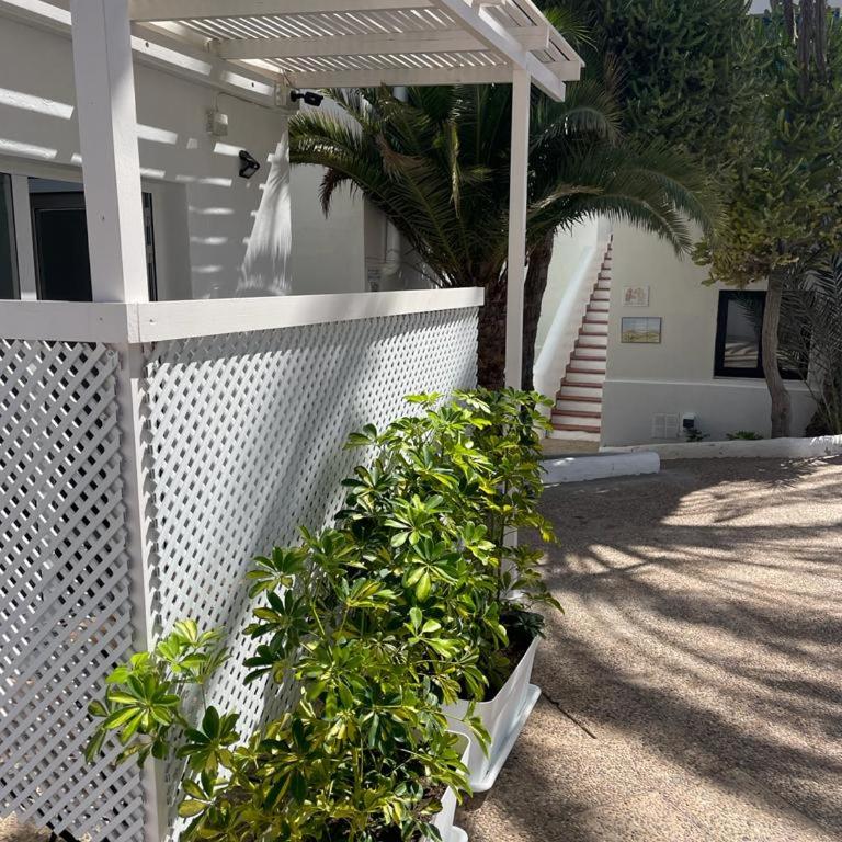 Apartamentos Punta Elena Beach - Estudio - 4