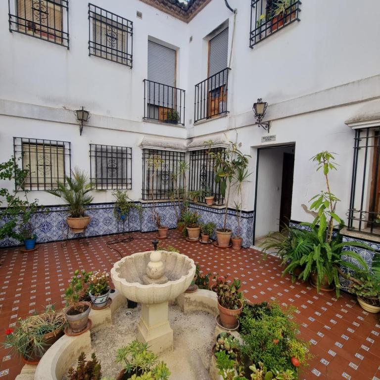 Vivienda Turistica en el Patio de la Judería - Apartamento de 1 dormitorio - 11