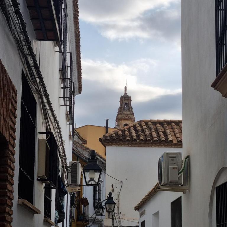 Vivienda Turistica en el Patio de la Judería - Apartamento de 1 dormitorio - 14