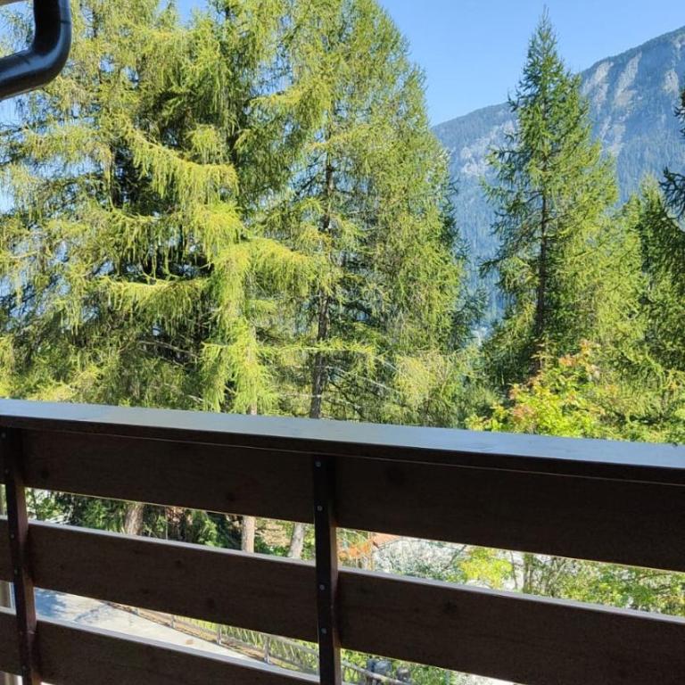 Sasso Rosso Apartment - Appartamento con 1 Camera da Letto - 15