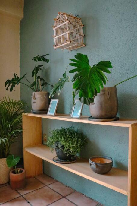 Apartamento La Merced Centro bien ubicado - One-Bedroom Apartment - 19