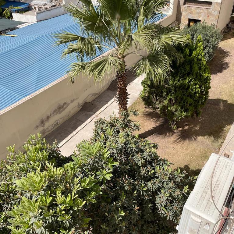 Cómodo departamento céntrico - Apartamento de 3 dormitorios - 24